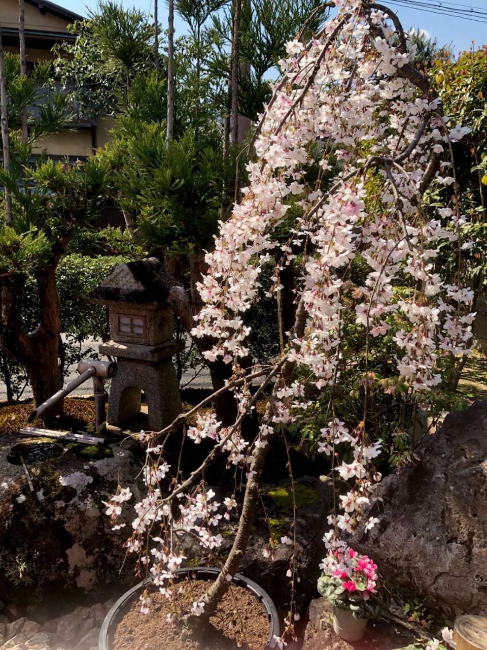 Muko Hostel Kyoto Arashiyama מראה חיצוני תמונה